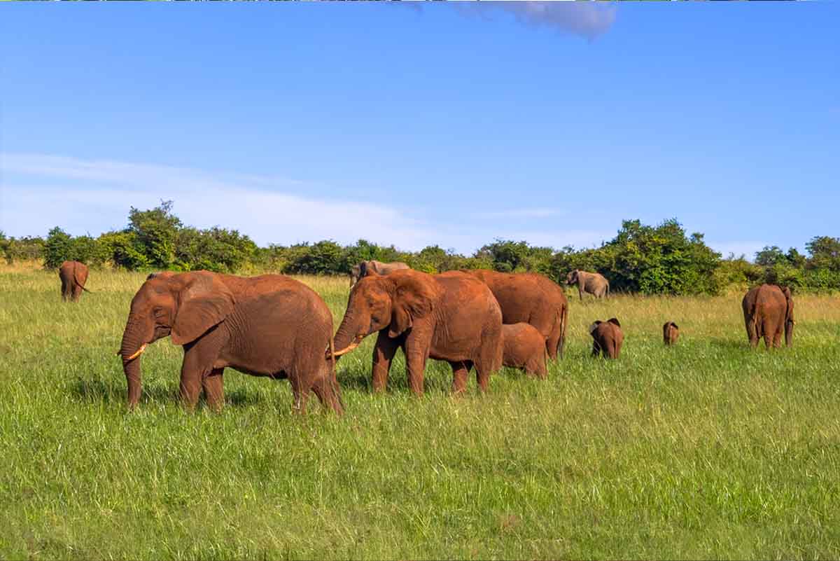 Tourism